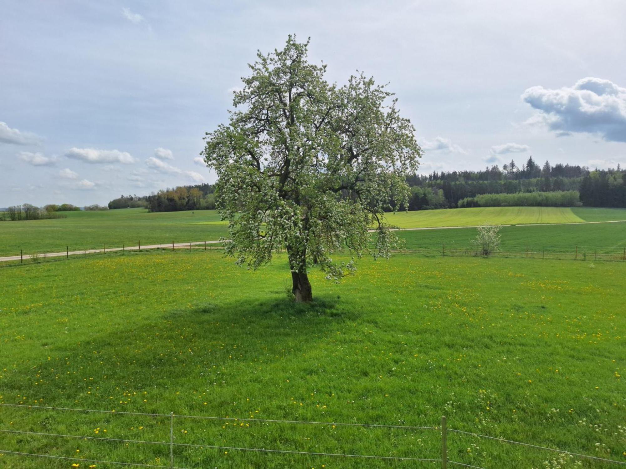Gaestehaus Plath Wettringen  Esterno foto