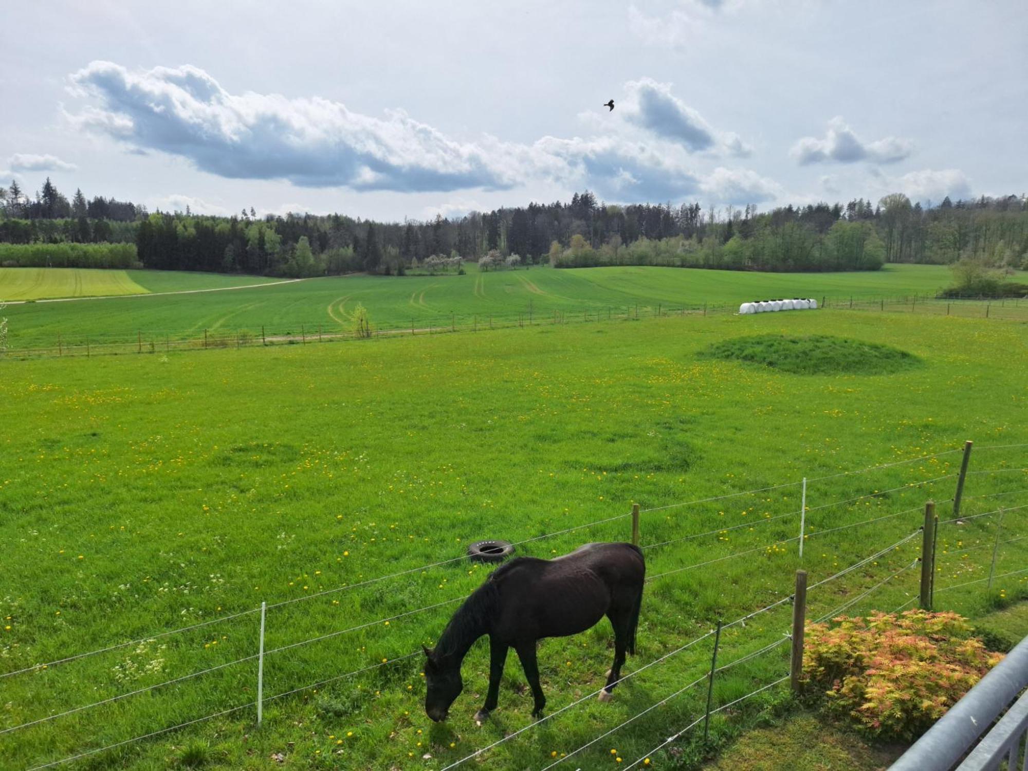 Gaestehaus Plath Wettringen  Esterno foto
